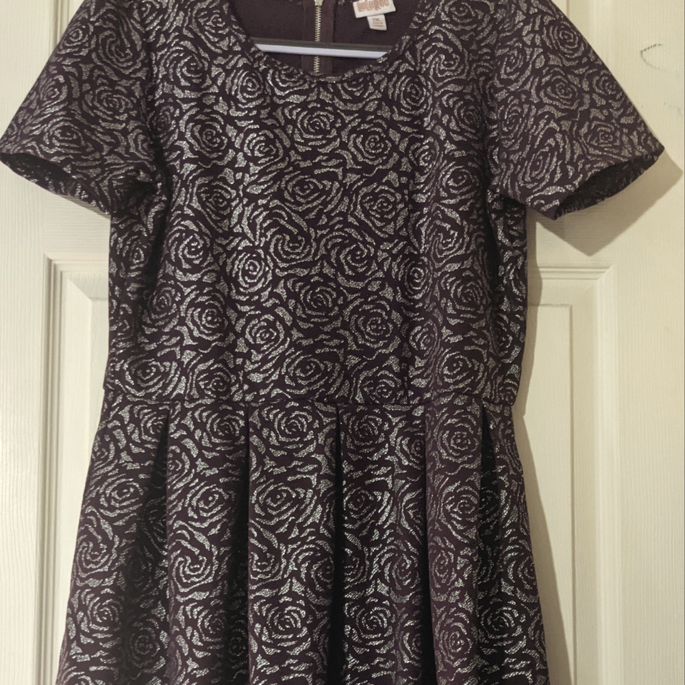 LuLaRoe 2X Elegant Amelia NWOT